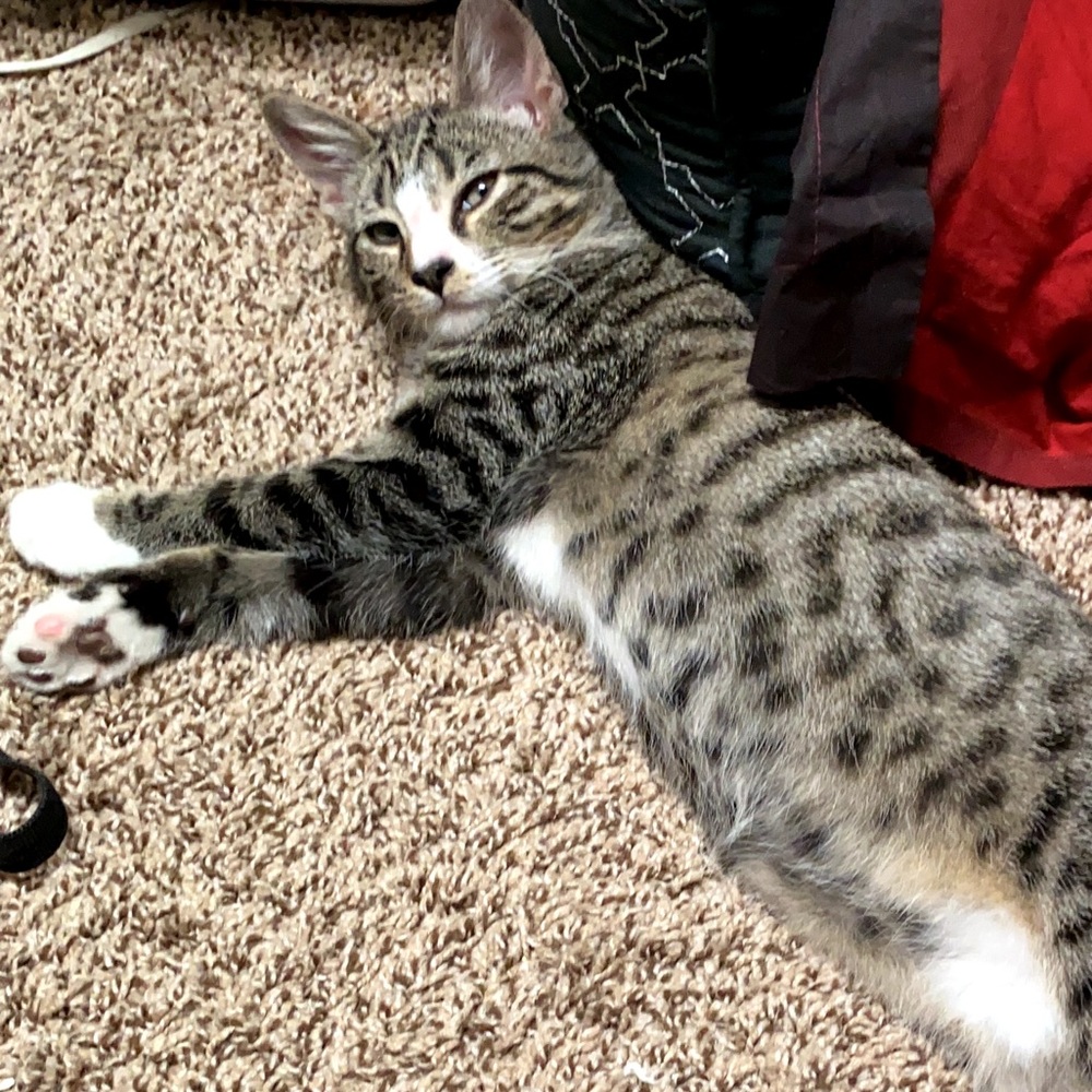 Meet your Posher, Eric